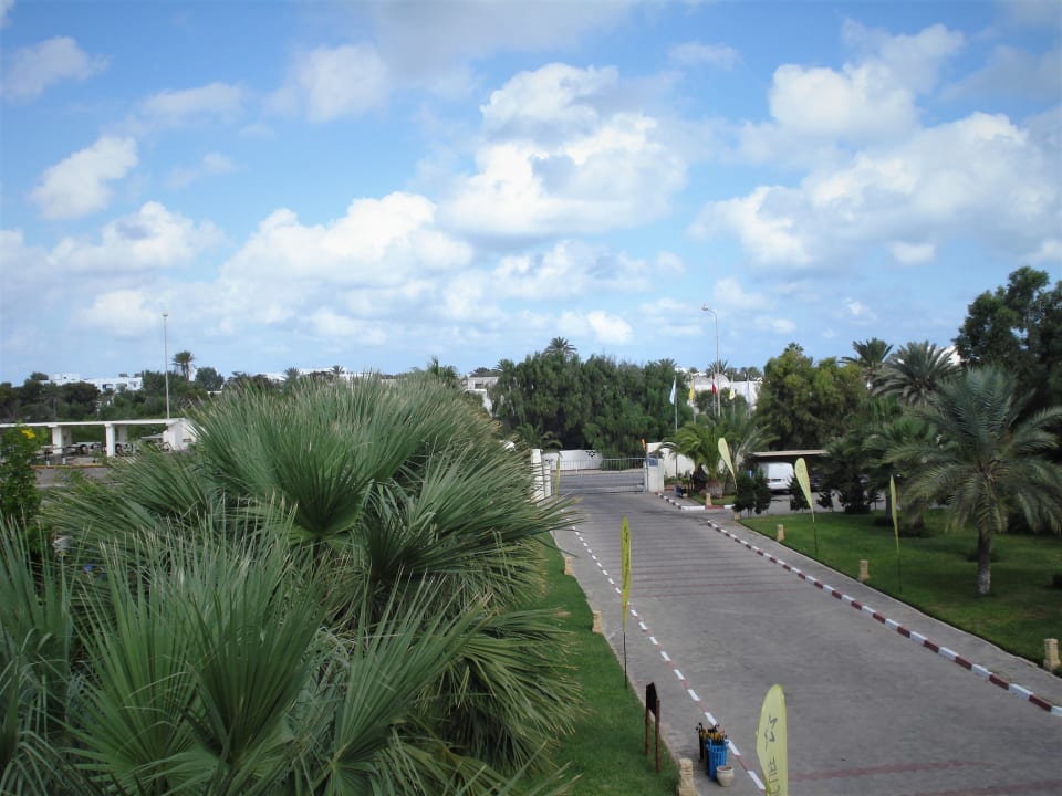Ausblick TUI MAGIC LIFE Penelope Beach