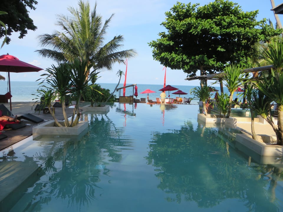 Mit Pool Bar Anantara Rasananda Koh Phangan -  Villas