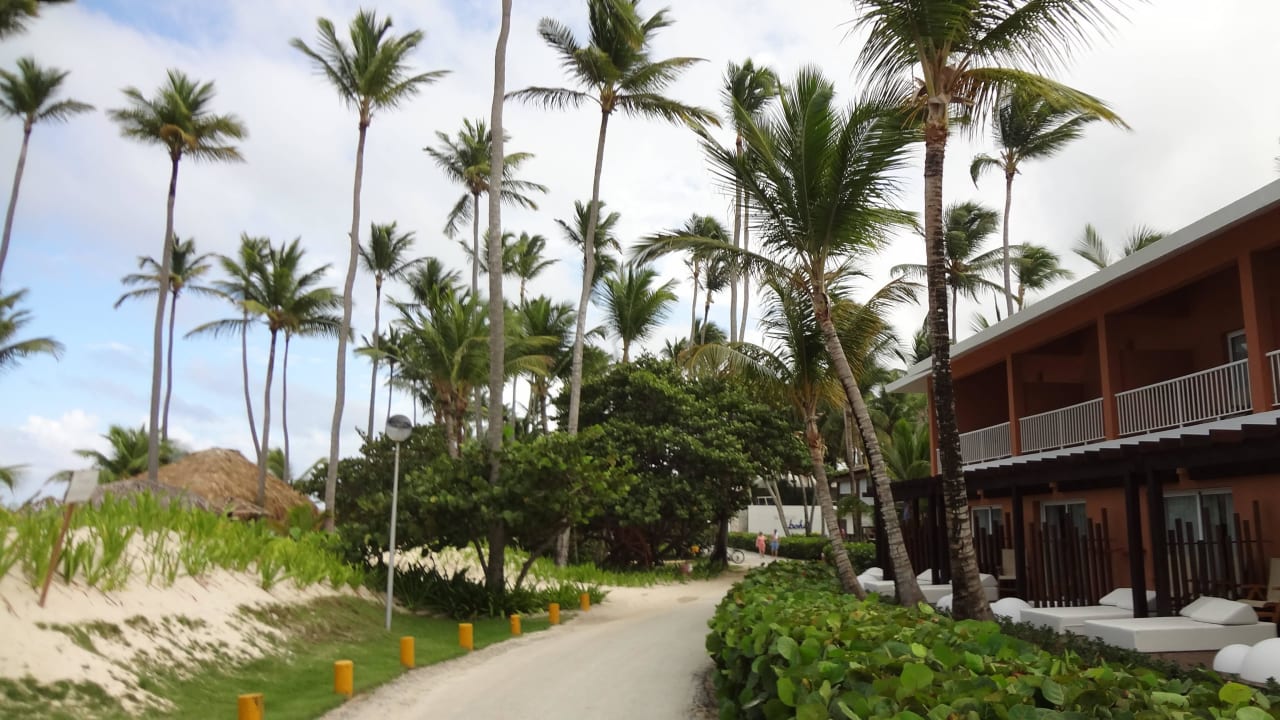 Strandweg Hotel Grand Palladium Palace Resort, Spa & Casino