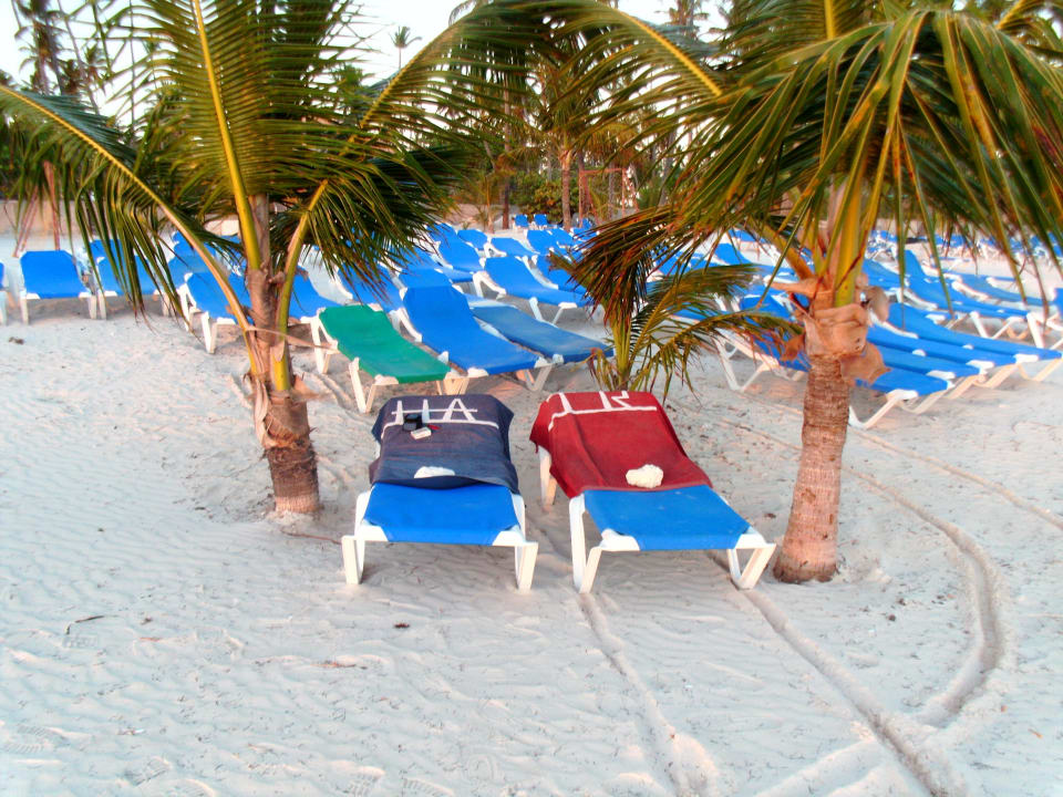 Liegen früh belegen sonst keine Chance Villas Bavaro Resort & Spa