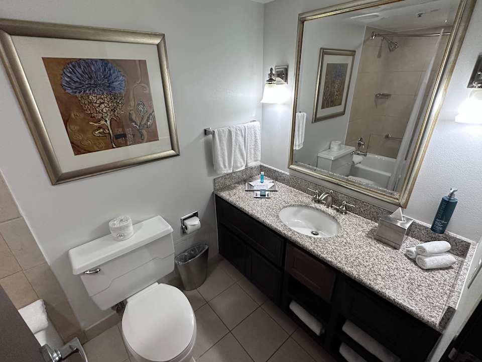 Zimmer Hotel Hilton Waco