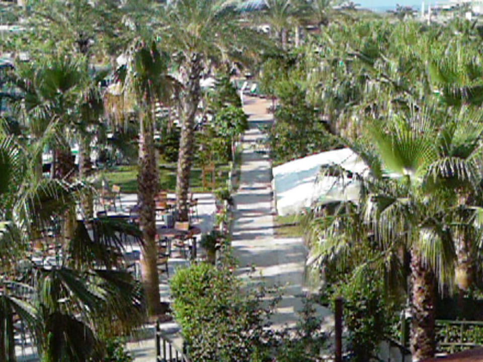 Aussicht Zimmer Hane Family Resort