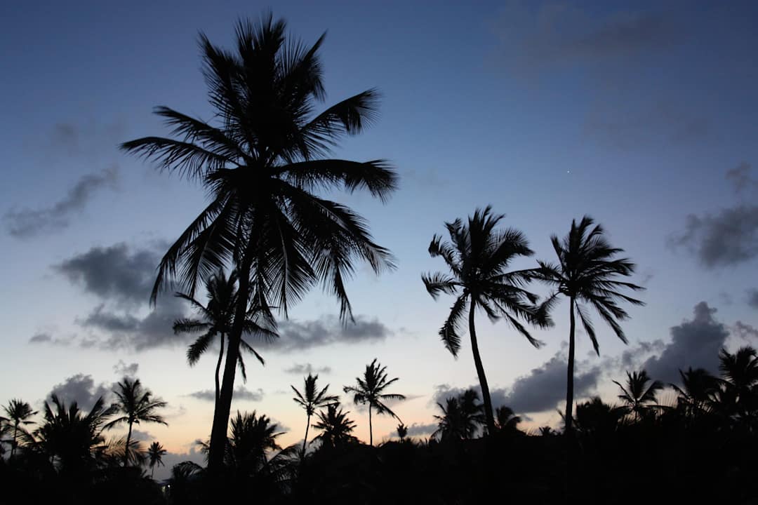 Zimmer 3218 Ausblick in der Früh Punta Cana Princess All Suites Resort & Spa