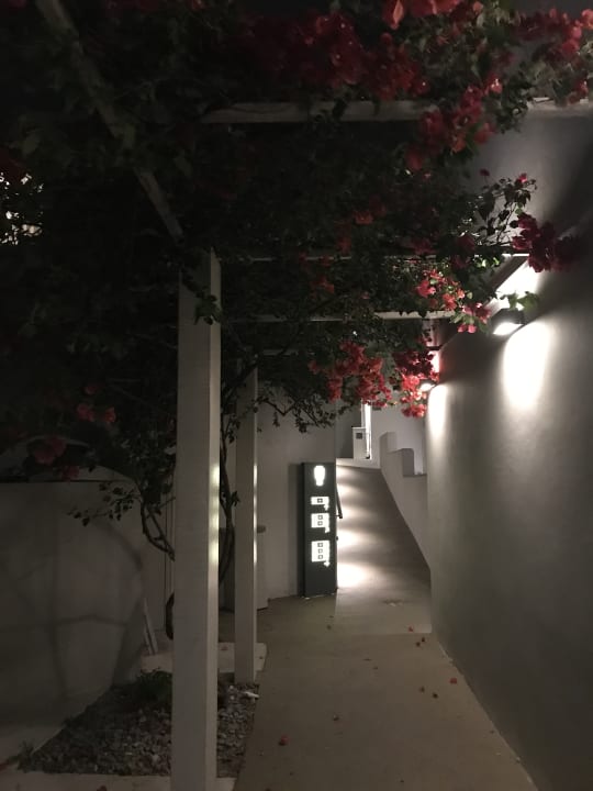 Gartenanlage Nefeli Hotel Rethymno