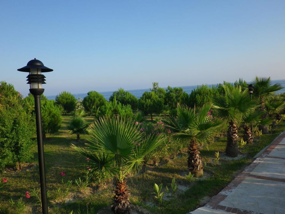 Palmen Garten Alba Resort Hotel