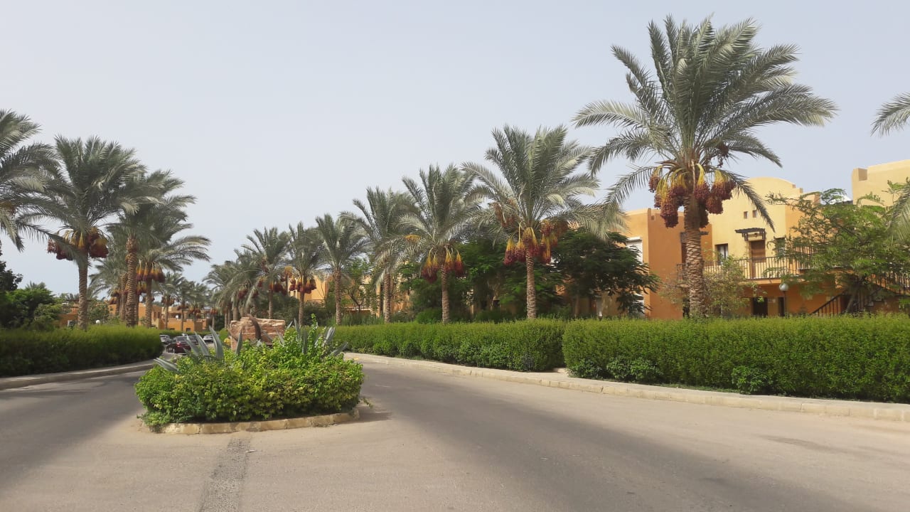 Gartenanlage Stella Garden Resort & Spa, Makadi Bay