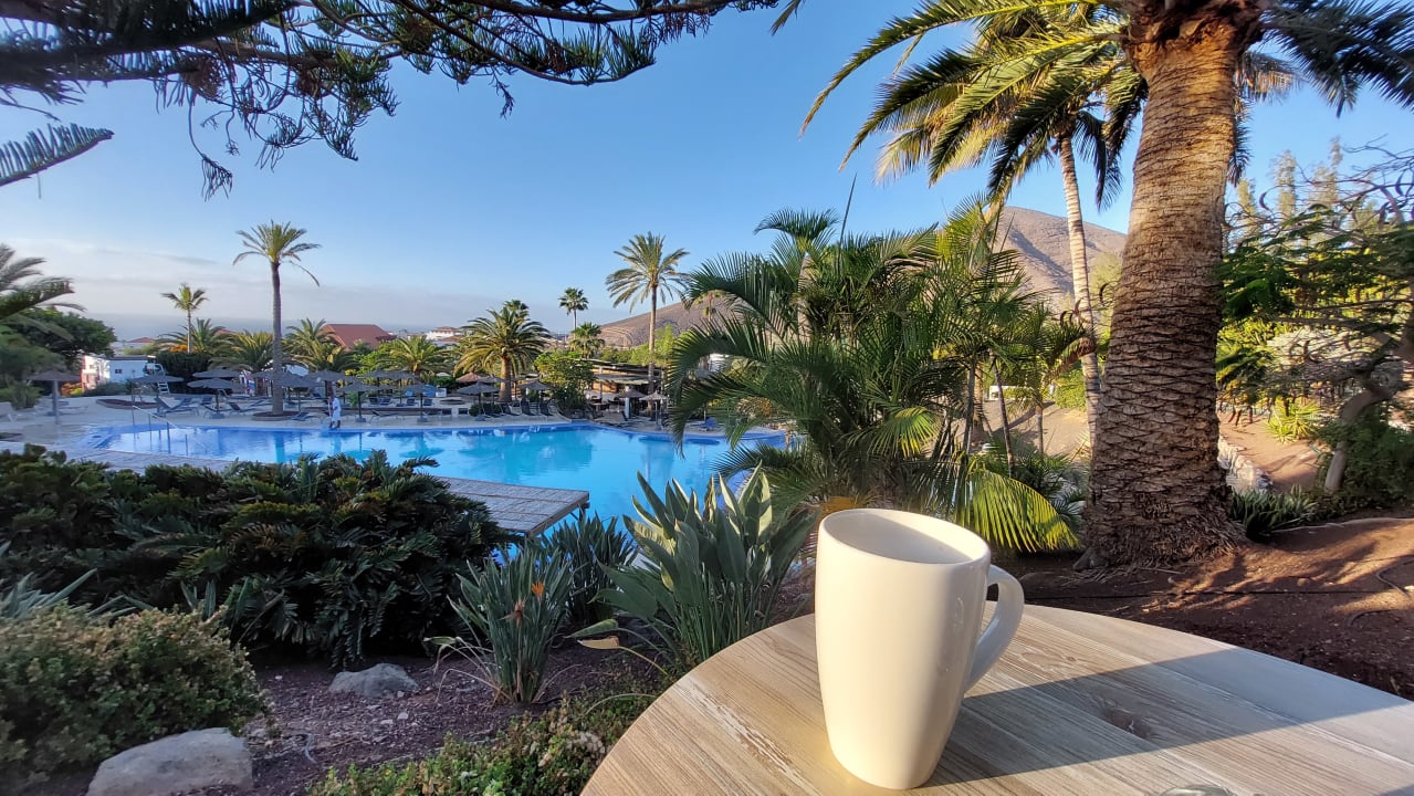 Ausblick allsun App.-Hotel Esquinzo Beach