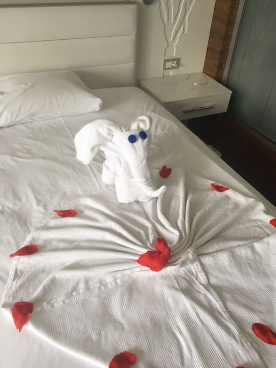 Zimmer Gold Island Selected