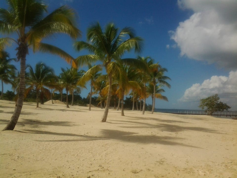 Strand hinter dem Hotel Bahia Principe Luxury Bouganville