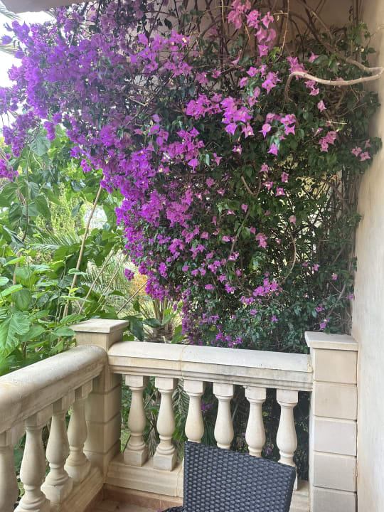 Gartenanlage Lago Garden