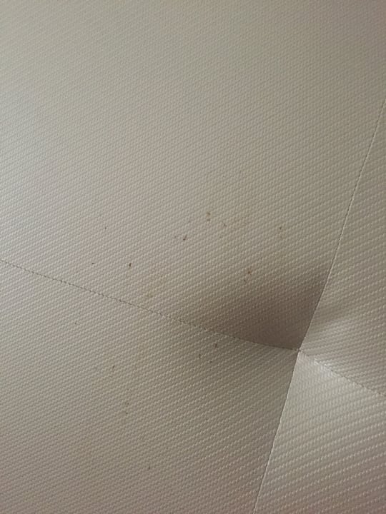 Zimmer Hotel Grand Palladium Palace Resort, Spa & Casino