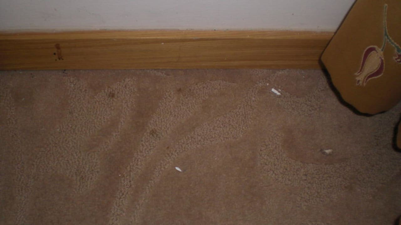 Teppichboden Ladonia Hotels Adakule