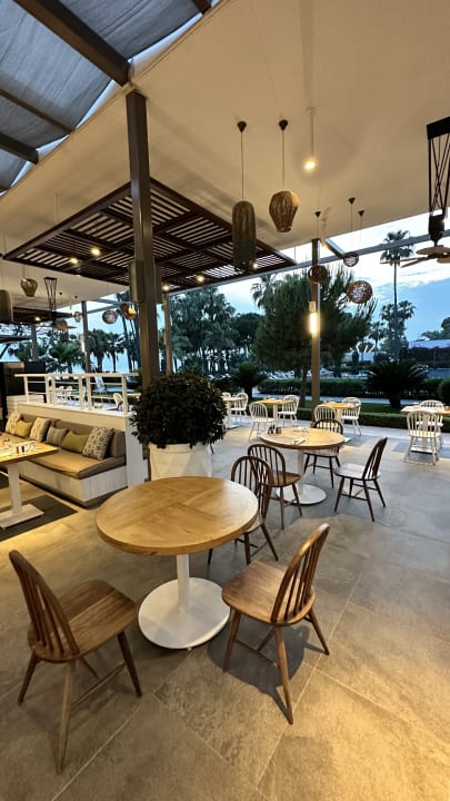 Gastro Acanthus Cennet Barut Collection