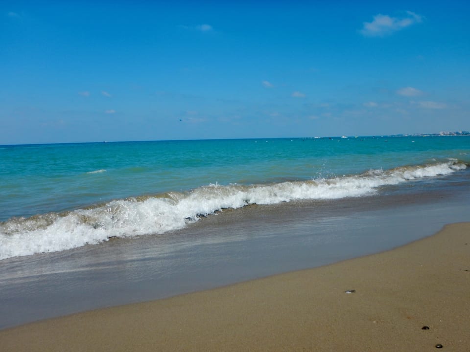 Strand Paloma Sencia