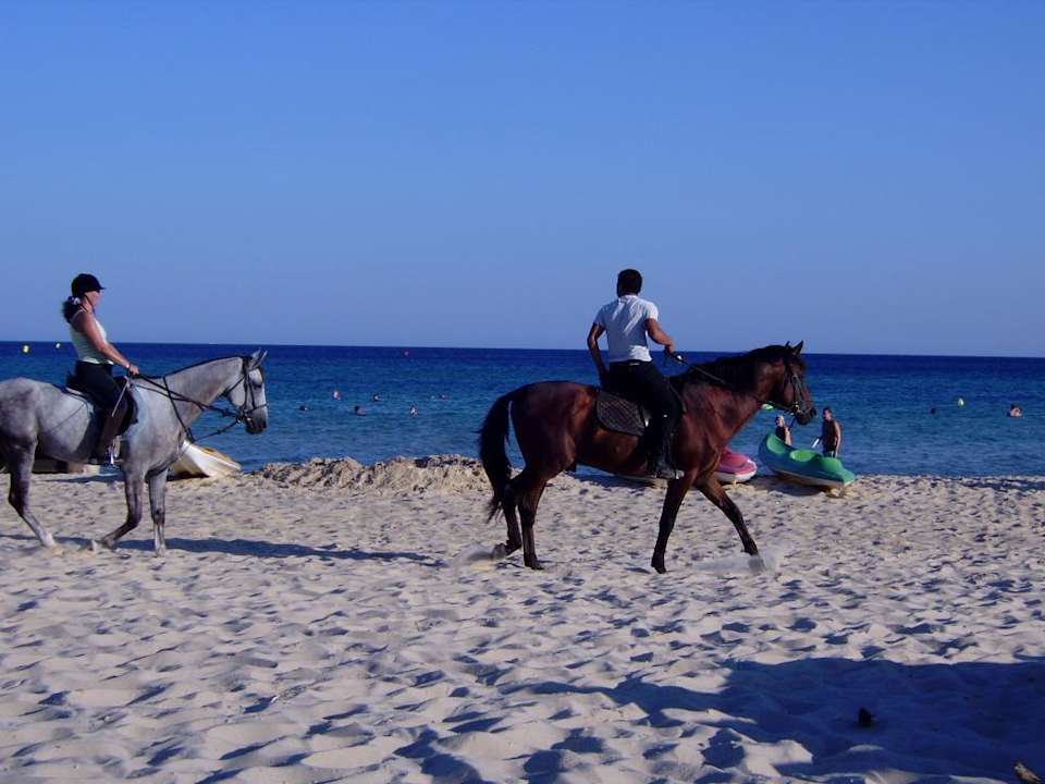 Strand Hotel Paradis Palace