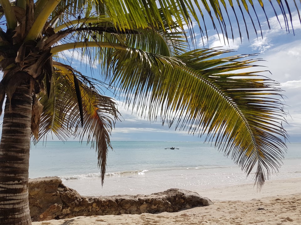 Strand Neptune Pwani Beach Resort & Spa