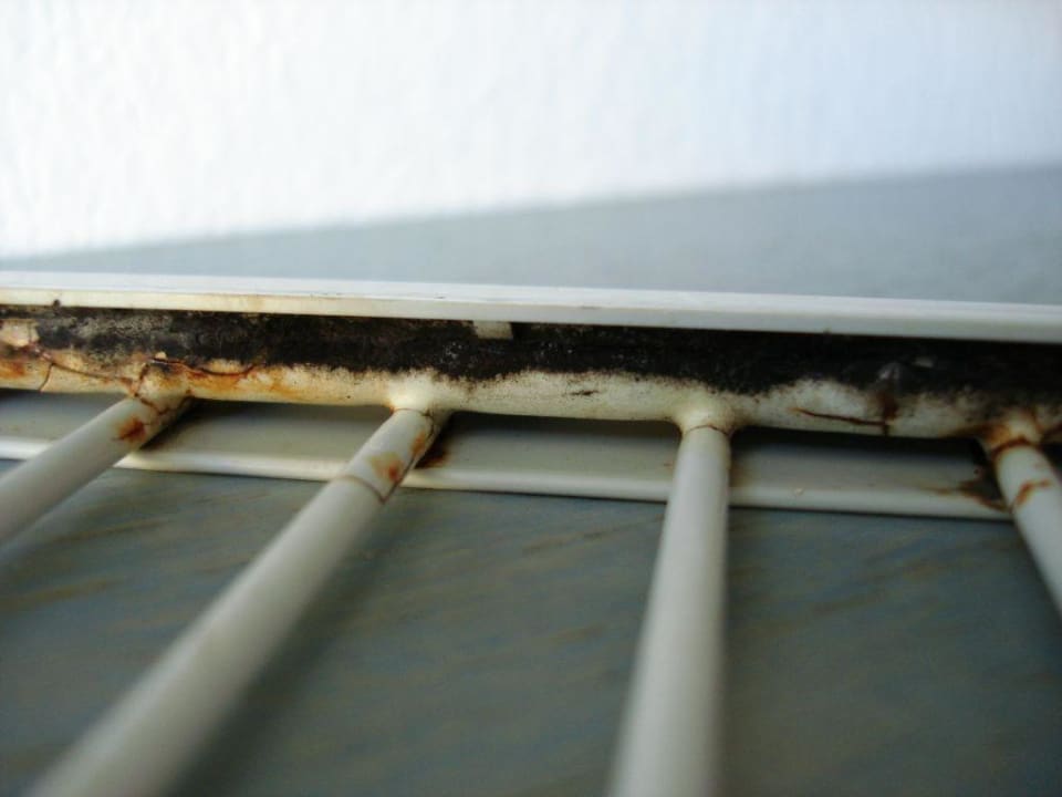 Kühlschrankgitter Hotel Princess Flora