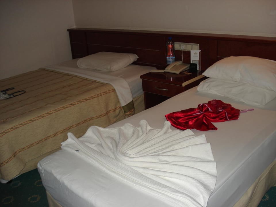 Aydinbey Gold Dreams Aydinbey Gold Dreams