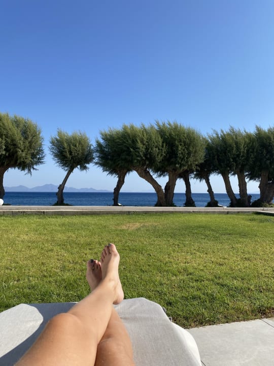 Zimmer Dimitra Beach Hotel & Suites