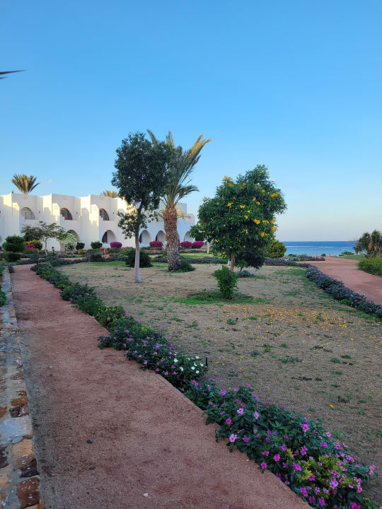 Gartenanlage Three Corners Equinox Beach Resort