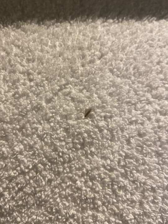 Zimmer Terrass Hôtel