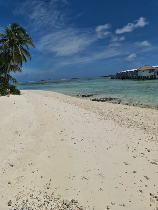 Außenansicht Cinnamon Hakuraa Huraa Maldives