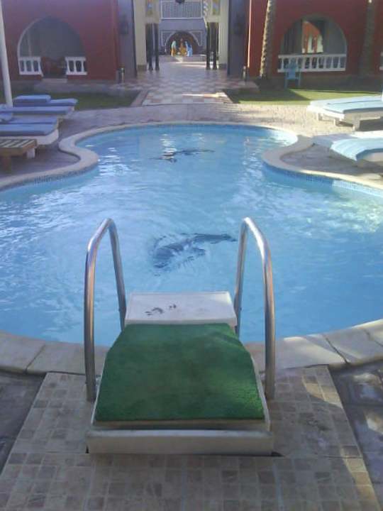 Ruhepool  Pickalbatros Alf Leila Wa Leila Resort - Neverland Hurghada