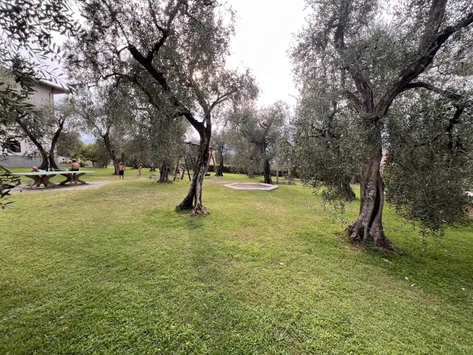 Gartenanlage Hotel San Carlo