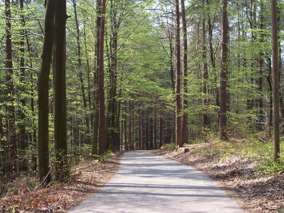 Waldlandschaft S'Fleckli Bioland Ferienbauernhof