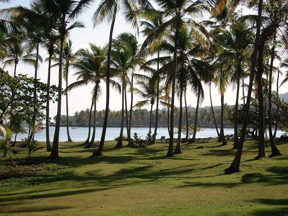 Beach Wyndham Alltra Samana