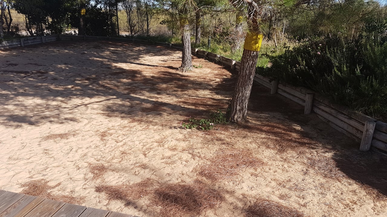 Sonstiges Ozadi Altura Beach Resort