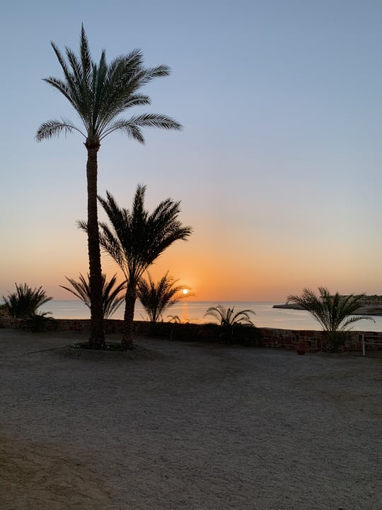 Gartenanlage Steigenberger Coraya Beach - Adults only