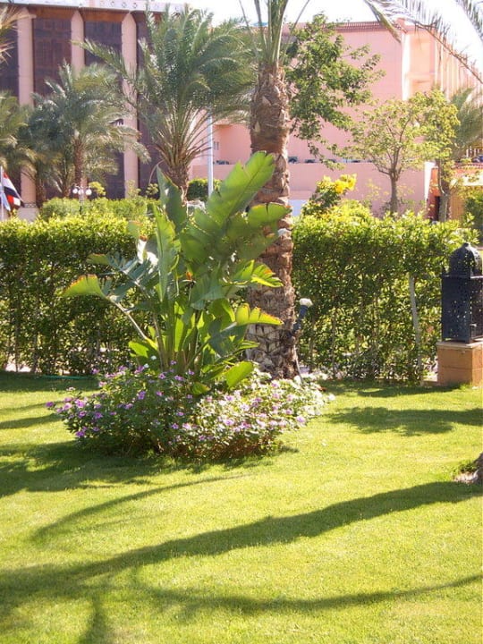 Sehr schick alles Pickalbatros Palace Resort