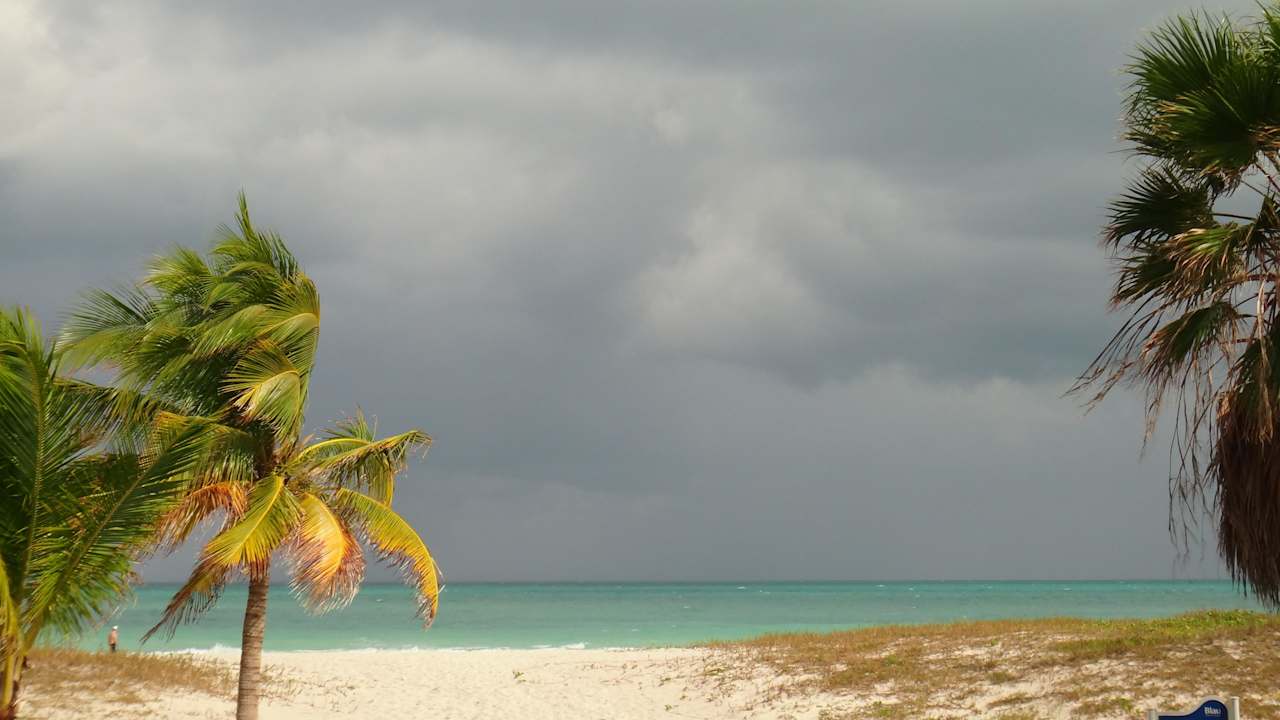 Strand vorm Hotel Blau Marina Privilege Cayo Libertad - Adults only