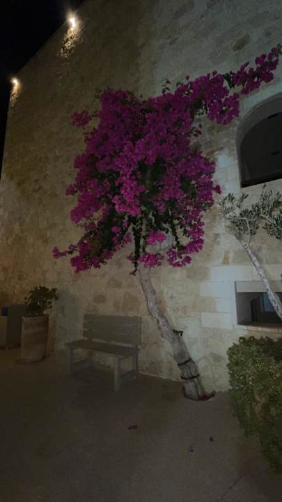 Außenansicht Cactus Royal