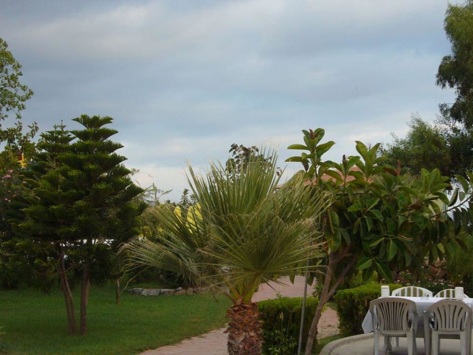 Garden Senza Sunset Beach Hotel