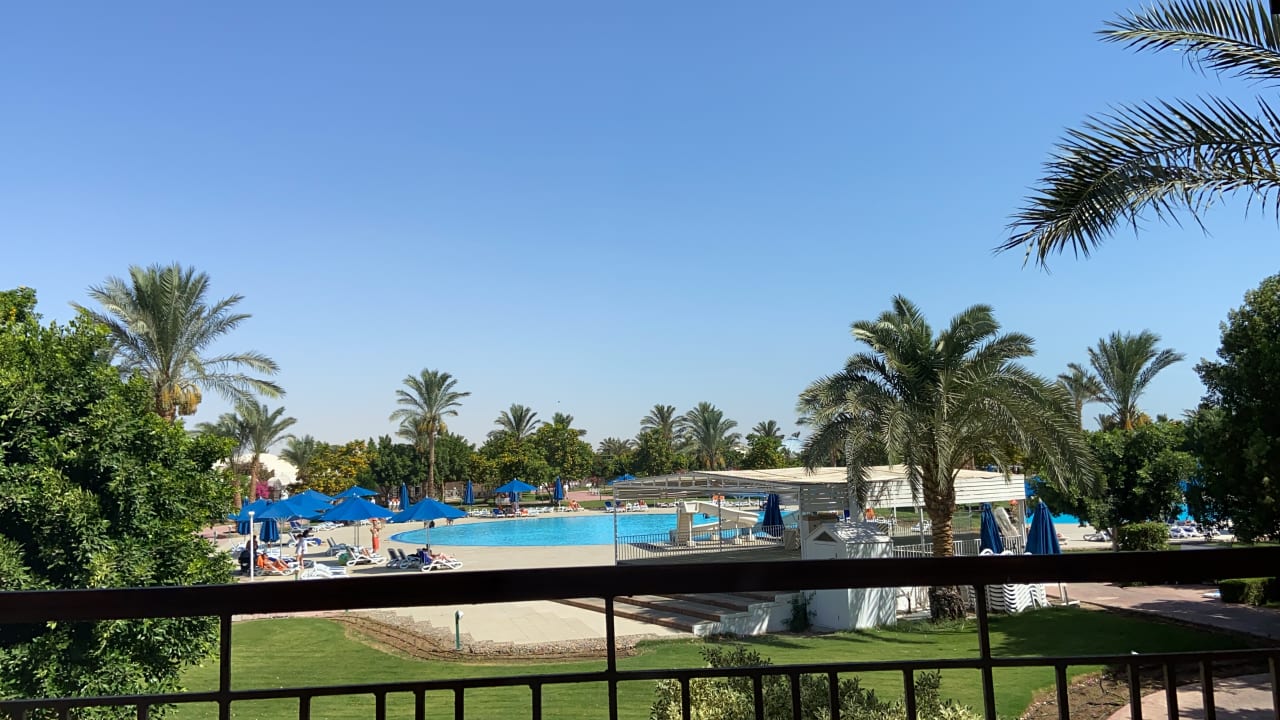 Ausblick Desert Rose