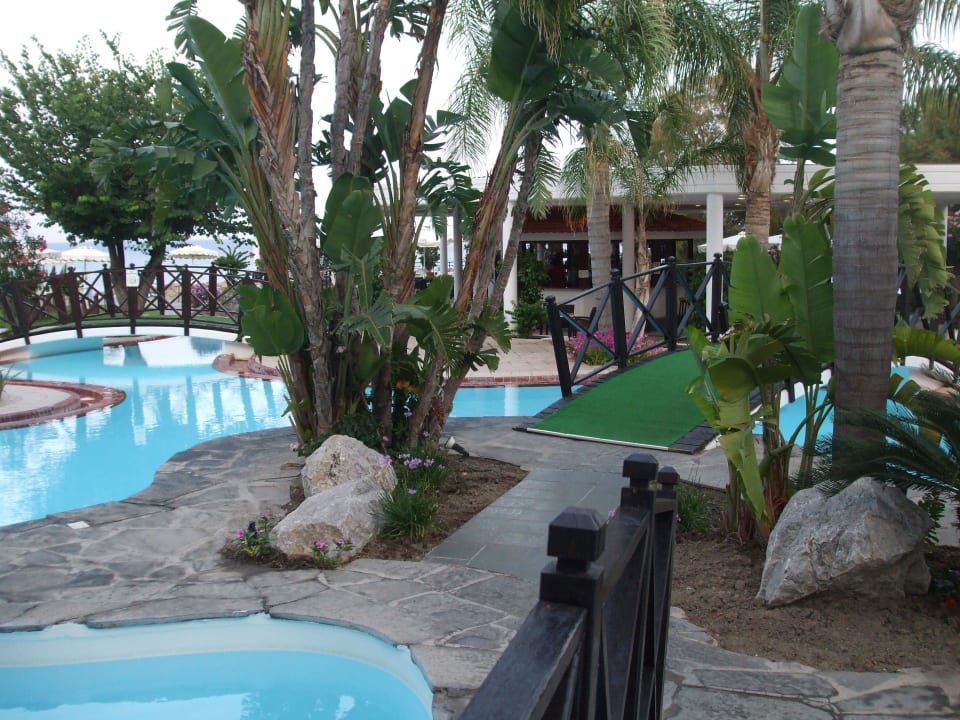 Bild 2 Hotel Calypso Beach