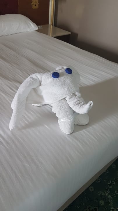 Zimmer Royal Taj Mahal Hotel