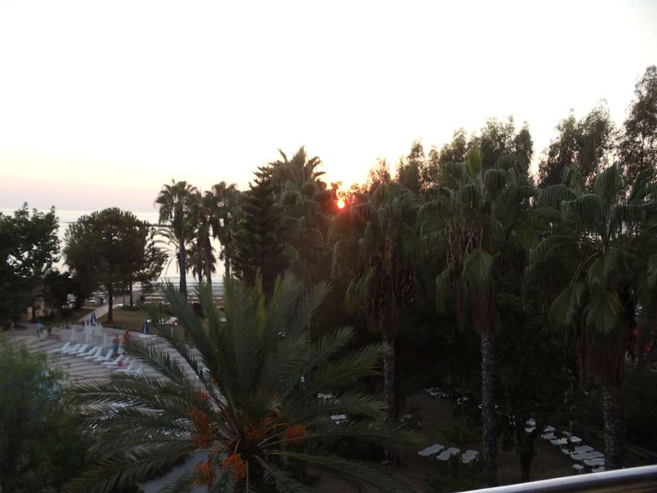 Sonnenuntergang  Top Hotel