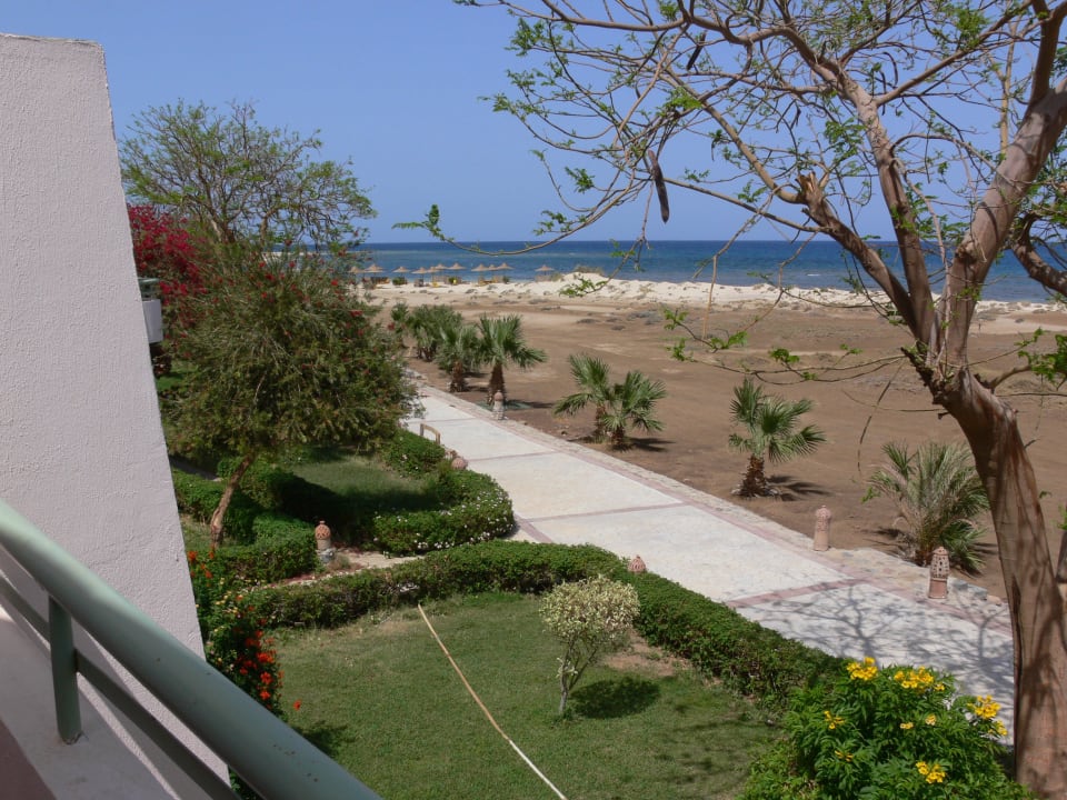 Blick vom Zimmer Richtung Strand Shams Alam Beach Resort