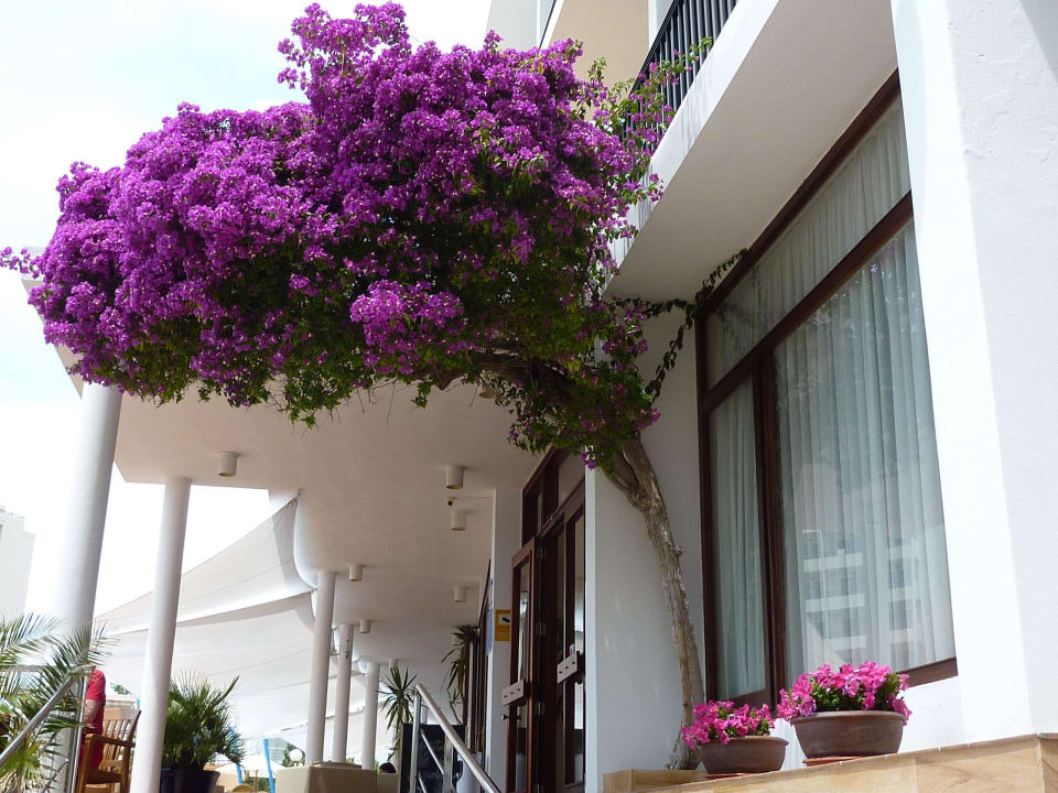 Hoteleingang Hotel Osiris