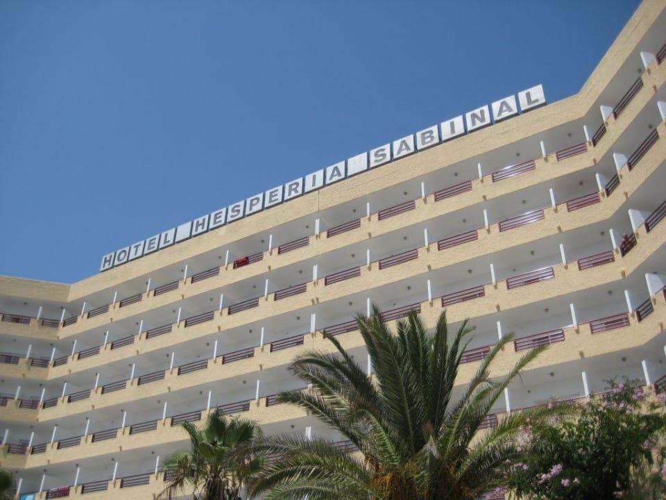 Das Hotel vom Pool aus gesehen Hotel Best Sabinal