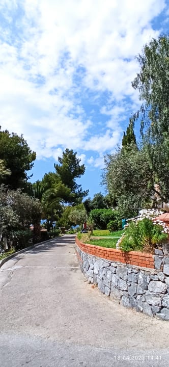 Gartenanlage Hotel Pine Bay Holiday Resort