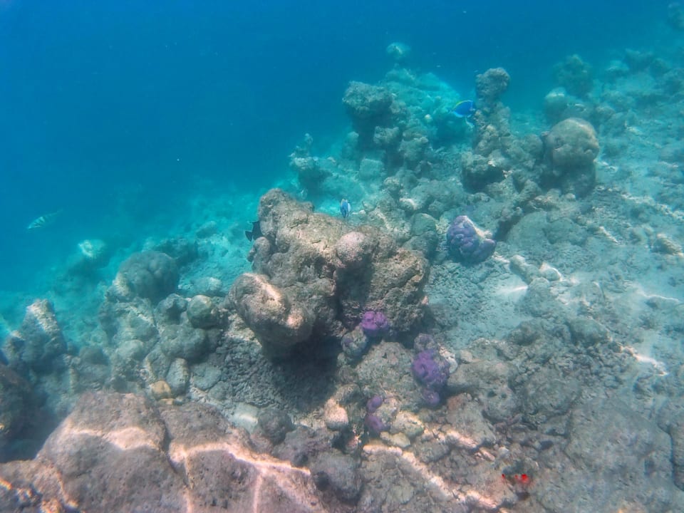 Strand Gangehi Island Resort