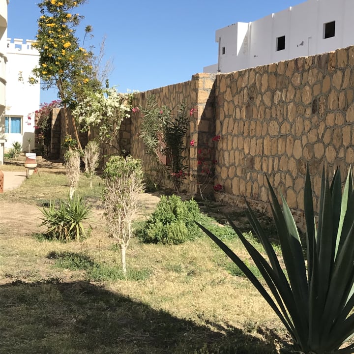 Gartenanlage Coral Sun Beach