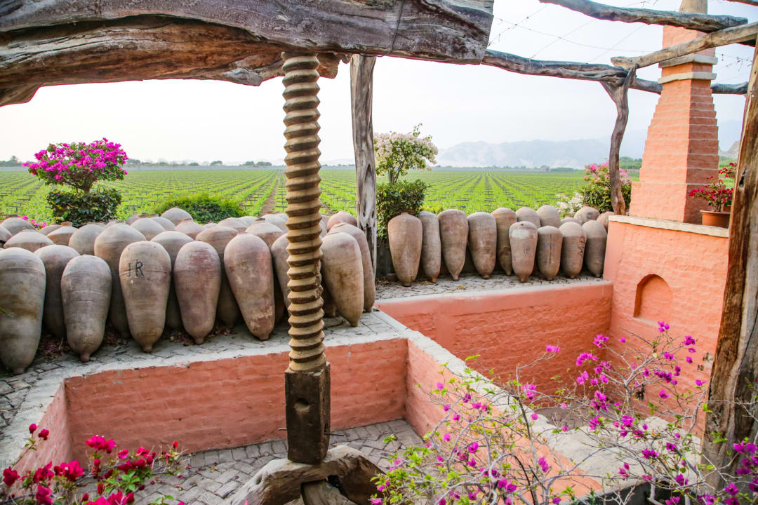 Gartenanlage Hotel Viñas Queirolo