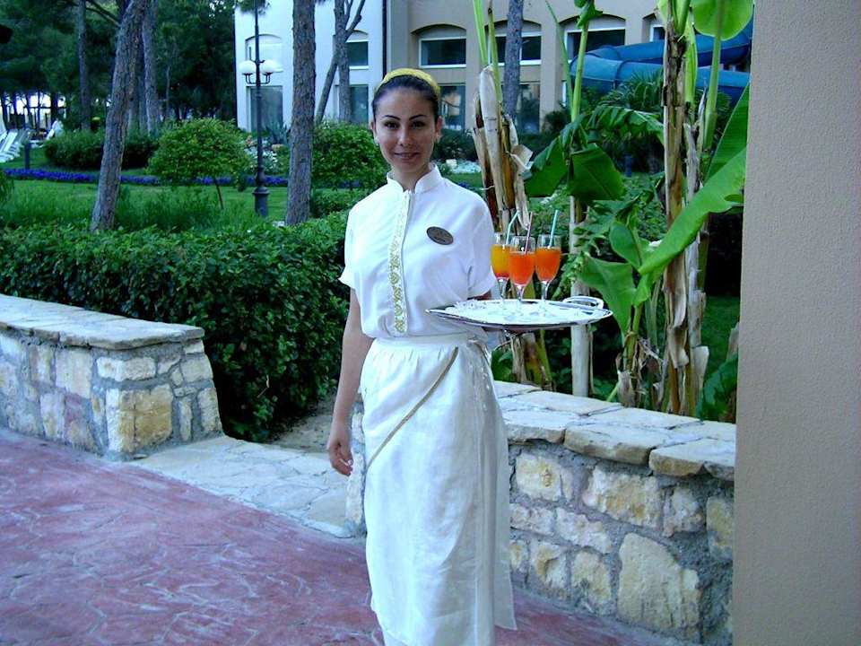 Eine nette Bedienung am Galaabend Papillon Ayscha