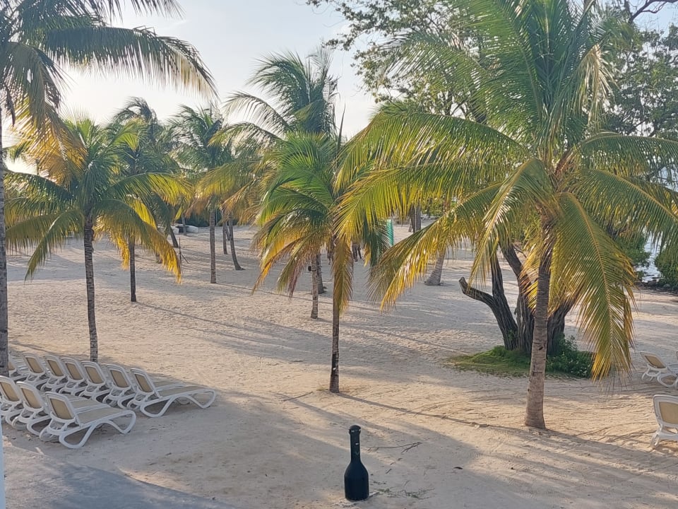 Strand Riu Montego Bay - Adults Only