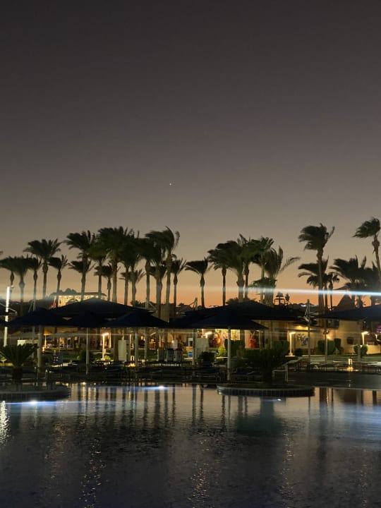 Pool Beach Albatros Resort